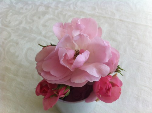 Pyntet med denne "Ombo-rosen" fra Bente Elins hage da vi kom hjem