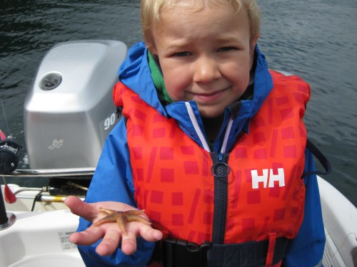 Mange sjøstjerner i teinene og storebror holder én av dem